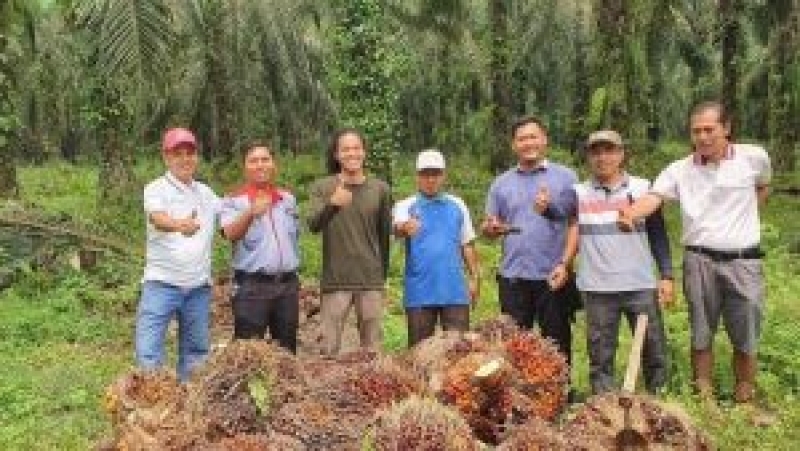 Provinsi Jambi Periode 30 Oktober - 05 November 2020