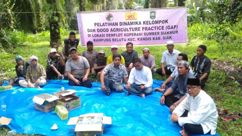4 Alasan Petani Sawit Harus Dilibatkan demi Keberlanjutan Biodiesel