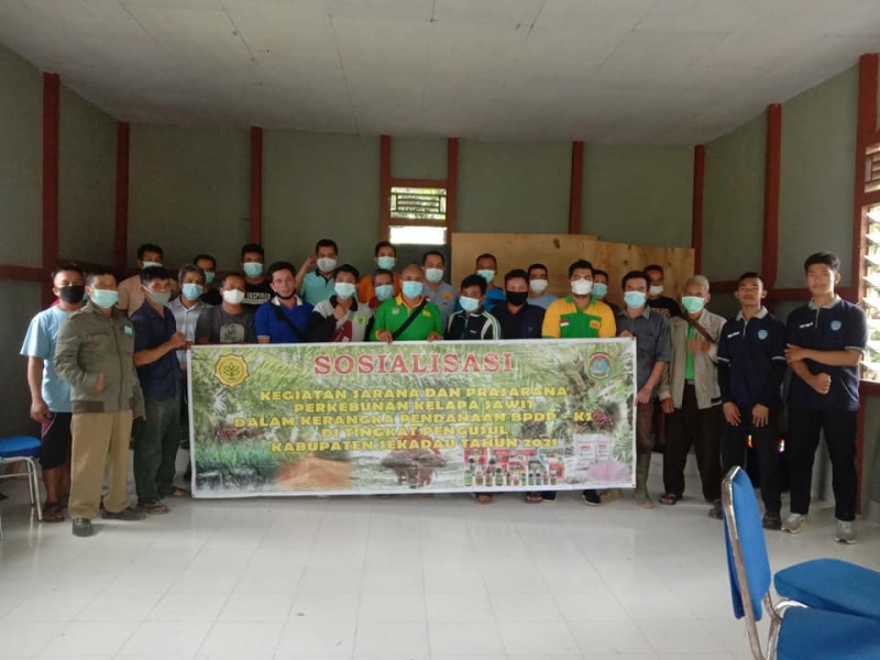 Dinas Perkebunan Sekadau Mengadakan Sosialisasi Program Sapras Kepada Anggota SPKS