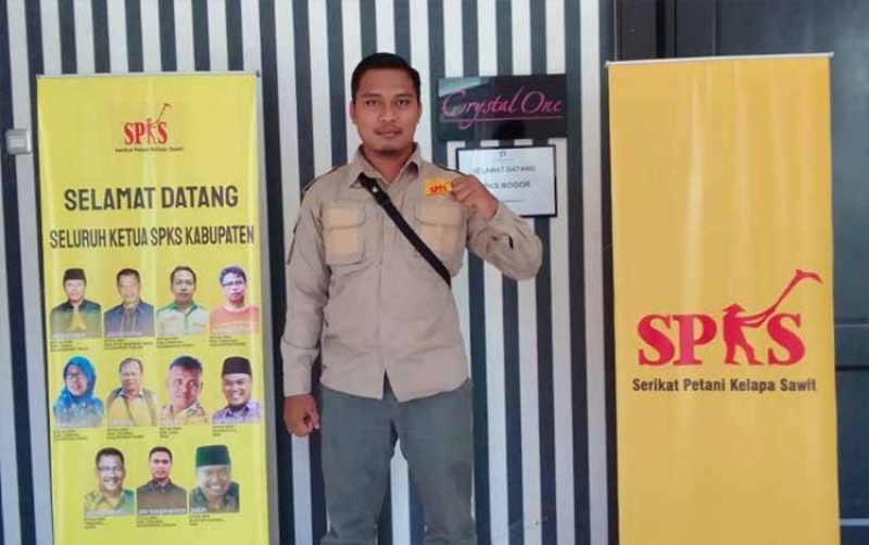 Belum Optimalnya Harga TBS Turunkan Produktivitas Petani