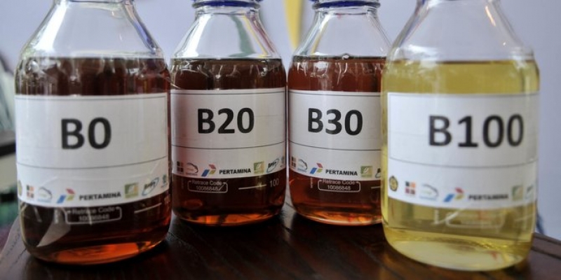 Program B30 Potensi Timbulkan Ketergantungan Impor Kelapa Sawit