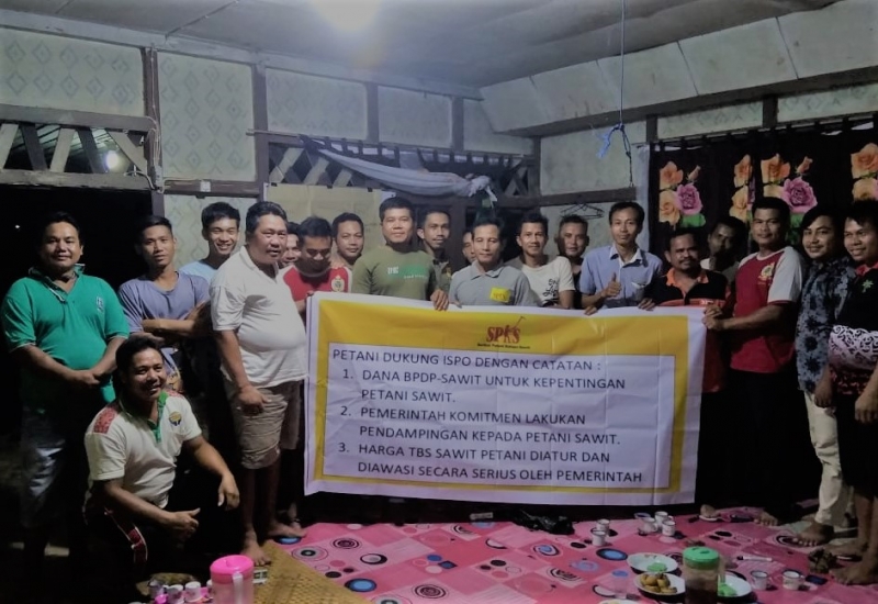 Petani Sawit Akan Mengalami Kesulitan Dalam Sertifikasi ISPO