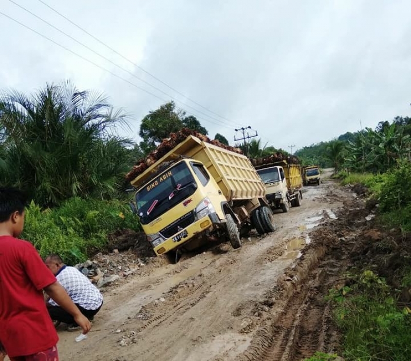 Serikat Petani Kelapa Sawit Meminta Pemerintah untuk Memperhatikan Jalan Kebun Petani Sawit di Indonesia