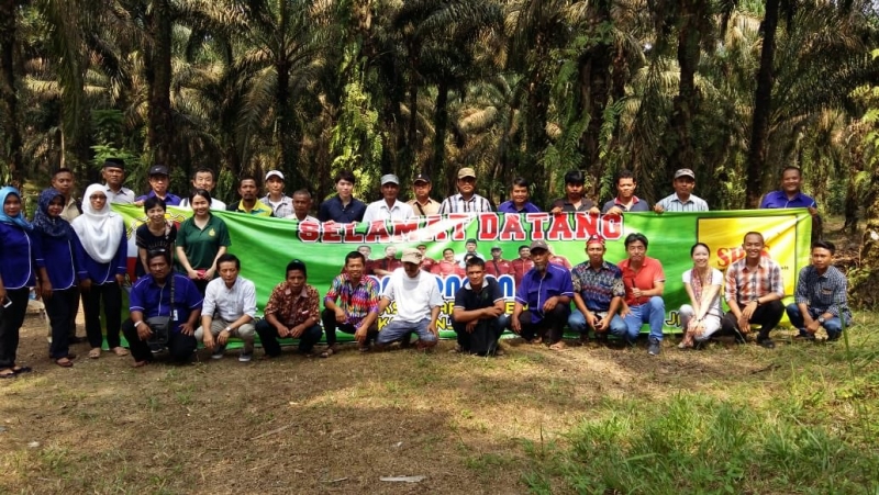 Sebanyak 15 Orang Perwakilan dari Perusahaan Jepang Bertemu dengan Petani Sawit Swadaya Binaan SPKS