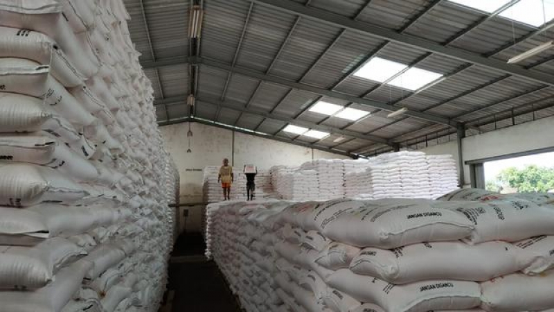 Pupuk Kaltim Kembangkan Teknologi Pertanian Kelapa Sawit