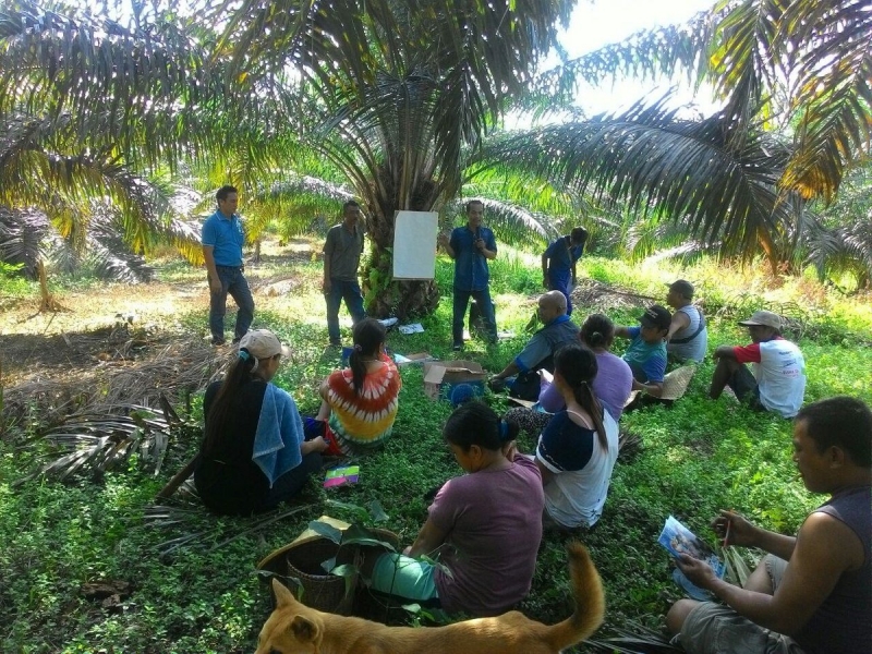 Harus ada Kolaborasi Semua Perusahaan Besar Perkebunan Sawit untuk Membina Petani.