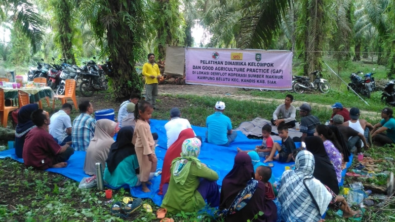Petani Dampingan SPKS Kabupaten Rokan Hulu Siap Menuju Sertifikasi RSPO