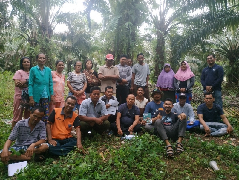 Petani sawit mandiri belum menikmati kenaikan harga TBS yang cukup signifikan dari kenaikan harga CPO