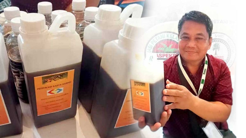 Anggota SPKS Di Jambi Budidaya Lebah, Membuat Pendapatan Petani Sawit Bertambah