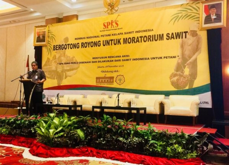Perkebunan Kelapa Sawit Tak Bisa Dikelola Sesuai Busisness as Usual (BAU)