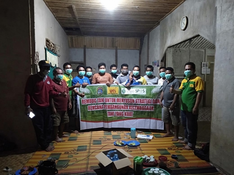 Petani Sawit Swadaya: Kami Butuh Dukungan Nyata Pemerintah!
