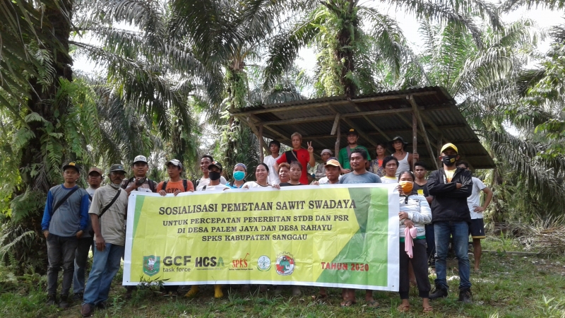 Dinas Perkebunan dan SPKS Lakukan Sosialisasi Bersama Pemetaan Petani Swadaya di Kabupaten Sanggau