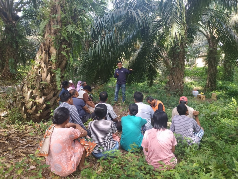 Pembinaan dan Pendampingan Petani Sawit Harus Ditingkatkan