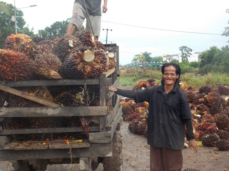 Program Biodiesel Dinilai Tak Berpihak Pada Petani Sawit Kecil