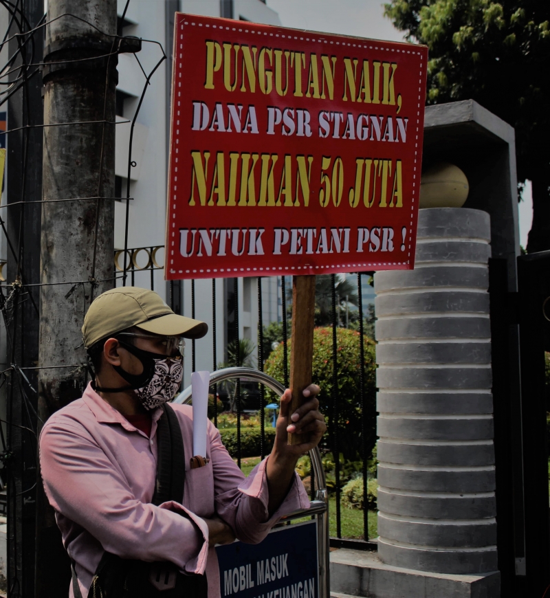 Petani Sawit Minta Pemerintah Naikan dana hibah peremajaan sawit rakyat (PSR) dari 30 juta/ha menjadi Rp50 juta/ha