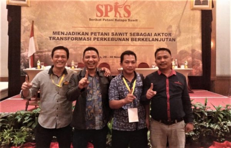 Pemerintah Rilis Data Tutupan Sawit, Masalah Legalitas Diharapkan Rampung