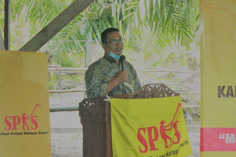 SPKS Minta Sikap Tegas Presiden untuk Menata Ulang  BPDP SAWIT