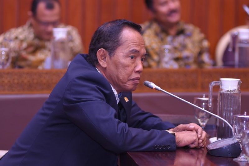 Realisasi Anggaran Rendah, Anggota DPR Harap Peremajaan Sawit Tepat Sasaran