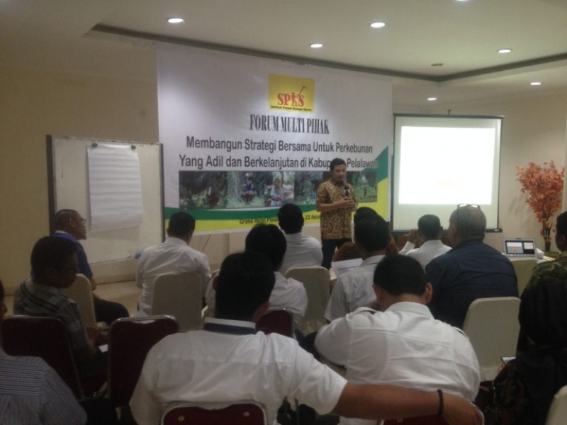 Forum Multi Pihak : Membangun Stategi Bersama Untuk Perkebunan Yang Adil dan Berkelanjutan di Kabupaten Palalawan