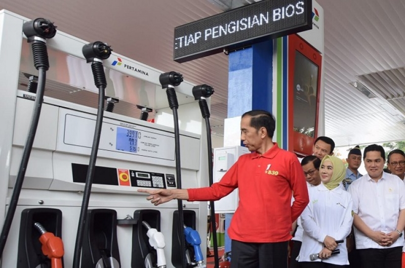 Pemerintah Dorong Pengembangan Biofuel, Ini Road Map-nya