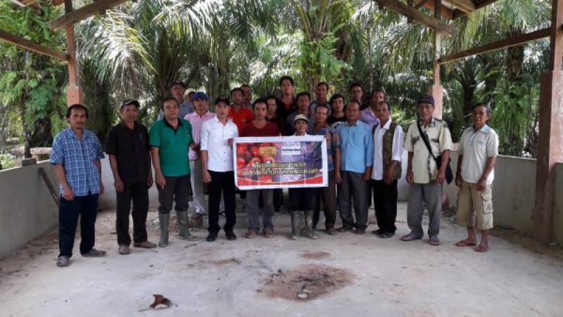 Petani Sanggau Bakal Hadir Dalam Rembug Nasional Petani Kelapa Sawit